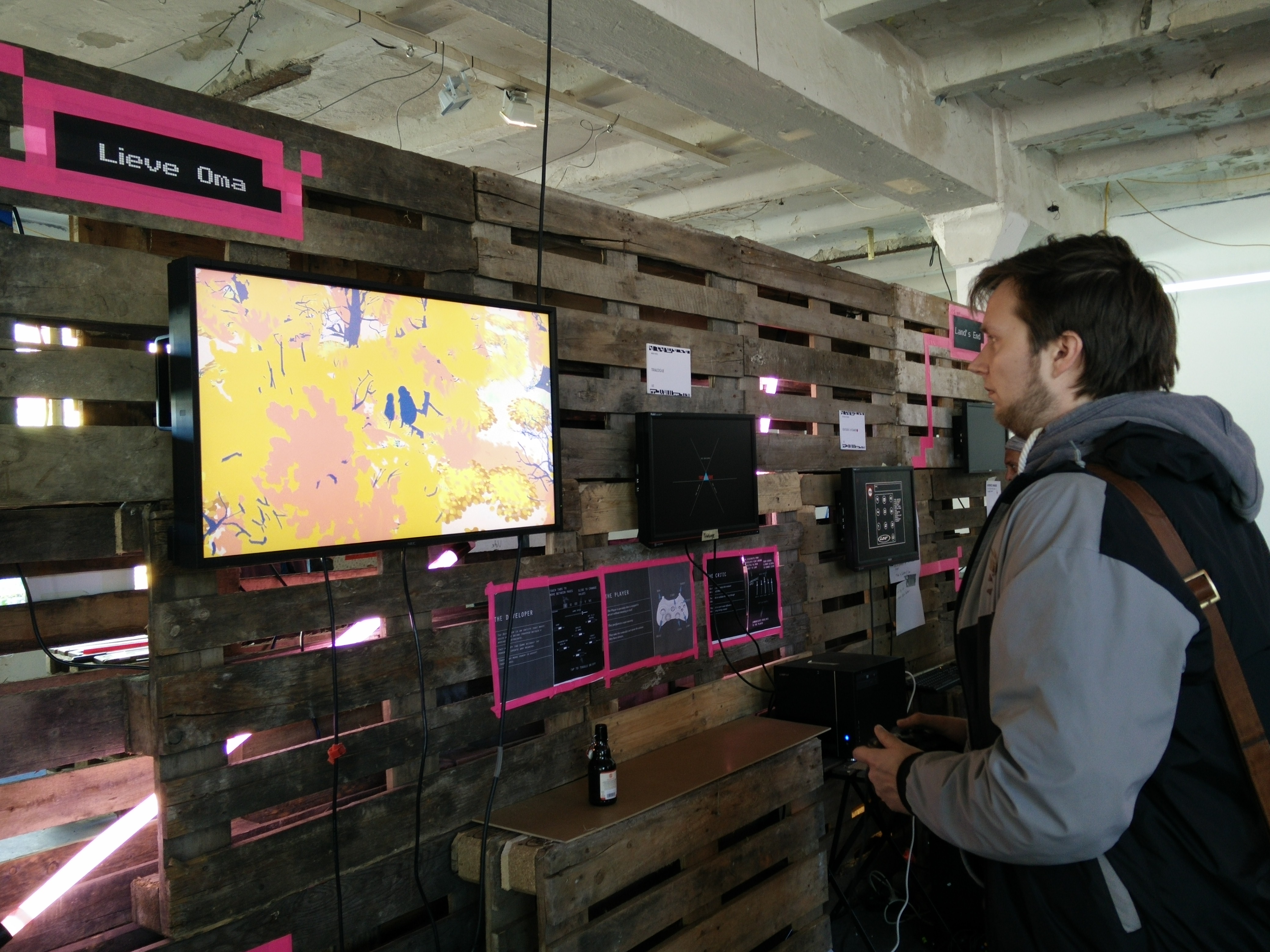 Robin Playing Games At The Exhibition
