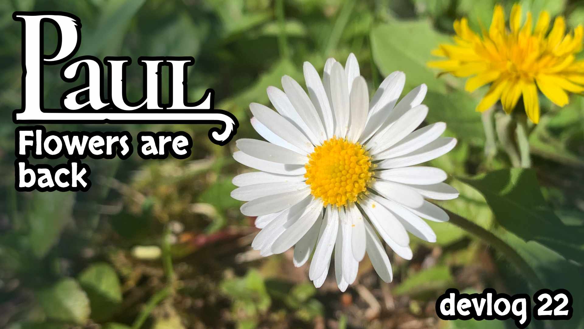 DevLog 22 - Flowers are back